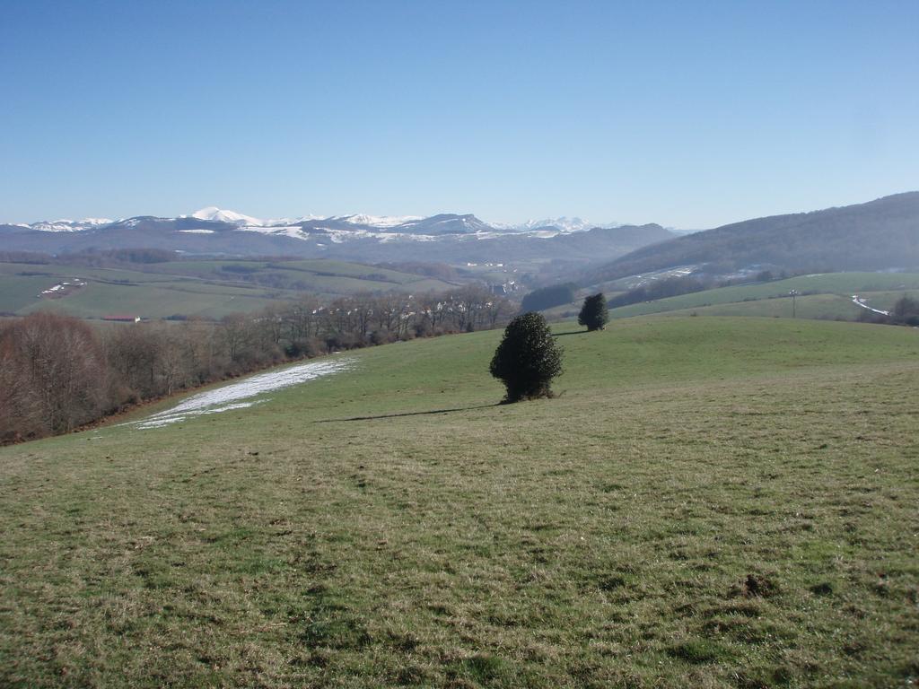 Casa Rural Irugoienea Espinal-Auzperri Exteriör bild